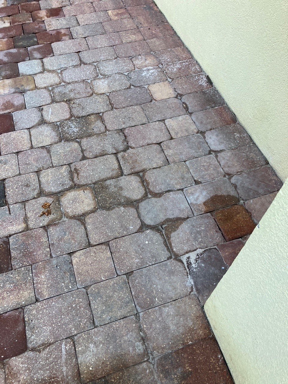 P01.jpg